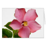 Hibiscus Thank You Card in French