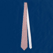 Hibiscus Tie 2