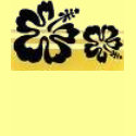hibiscus t-shirts by seajayaway hibiscus t-shirts