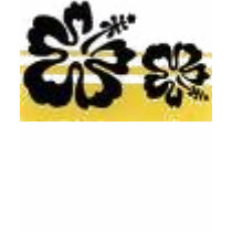 hibiscus t-shirts by seajayaway hibiscus t-shirts