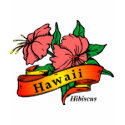 Hibiscus t-shirts