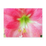 Hibiscus-Upclose Post Cards