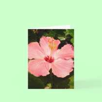 Hibiscus - V cards