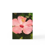 Hibiscus - V cards