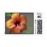 Hibiscuses Stamp