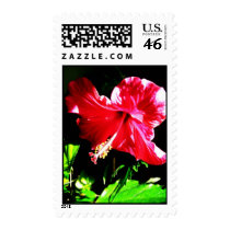 Hibiscus's light from shadows stamp