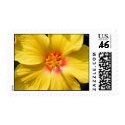 Hibscus postage by SweetRascal Hibscus postage