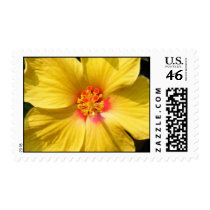 Hibscus postage by SweetRascal Hibscus postage