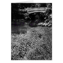 Hickory Creek at Swann Mill Road cards by bhbphotos Hickory Creek at Swann Mill Road cards