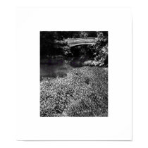 Hickory Creek at Swann Mill Road posters
