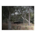 Hidden Away  posters