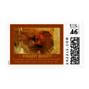 Hidden Beauty Matching Postage postage