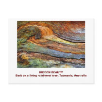 Hidden Beauty postcards by PetaPan35 Hidden Beauty postcards