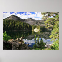 Hidden Beauty posters