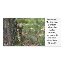 Hidden deer photo greeting card