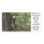 Hidden deer photo greeting card