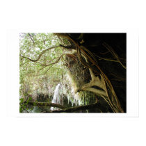 hidden falls posters