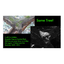 Hidden Gremlin Tree. posters