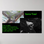 Hidden Gremlin Tree. posters