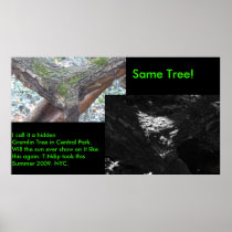 Hidden Gremlin Tree. Posters