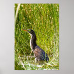"Hidden Heron" (portrait) posters