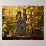 Hidden Images Poster posters
