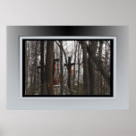 Hidden in the Woods Poster