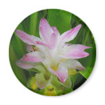 Hidden Lily Fridge Magnet