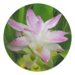 Hidden Lily Sticker