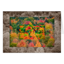 Hidden Nature cards