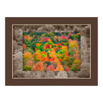 Hidden Nature posters