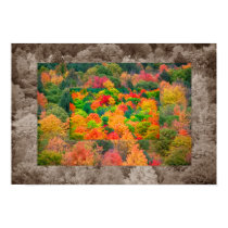 Hidden Nature posters
