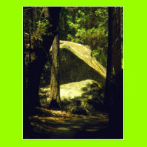 Hidden Path 1 postcards
