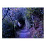 Hidden Path