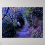 Hidden Path Poster