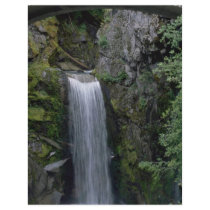 Hidden Paths Full Color Flyer