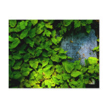 Hidden Postcard