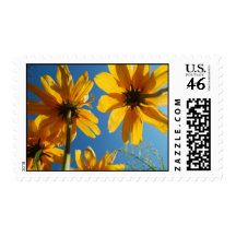 Hidden Scene Postage Stamp