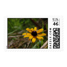 Hidden Suprises Postage