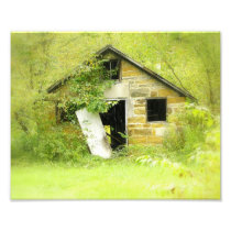 Hidden Treasure Custom Photo