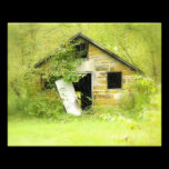 Hidden Treasure Custom Photo photography