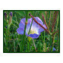 Hidden Treasures posters by KrisArts Hidden Treasures posters