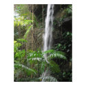Hidden Tropics posters