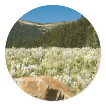 Hidden Valley stickers