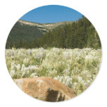 Hidden Valley Sticker
