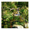 Hidden Waterfall posters by princessklb07 Hidden Waterfall posters
