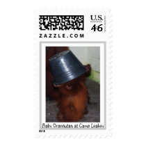Hide and Seek at Camp Leakey postage by Rebecca_Reeder Hide and Seek at Camp Leakey postage