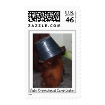 Hide and Seek at Camp Leakey Stamps