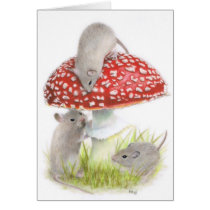 Hide And Seek Greeting Cards