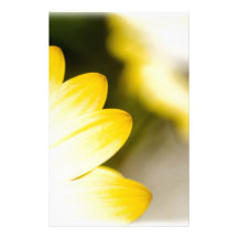Hide and Seek Daisy Personalized Stationery
